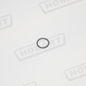 O-RING 00-276903-007
