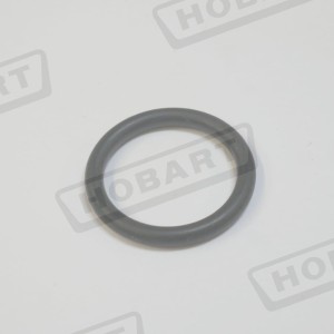 O-RING 00-884505-002